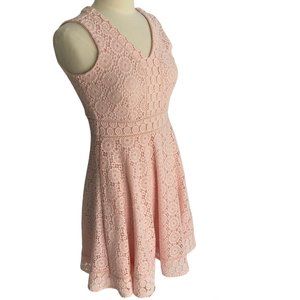 Charter Club Lace A-Line Sleeveless Pink Coquette Fairy Feminine Event Dress-PP